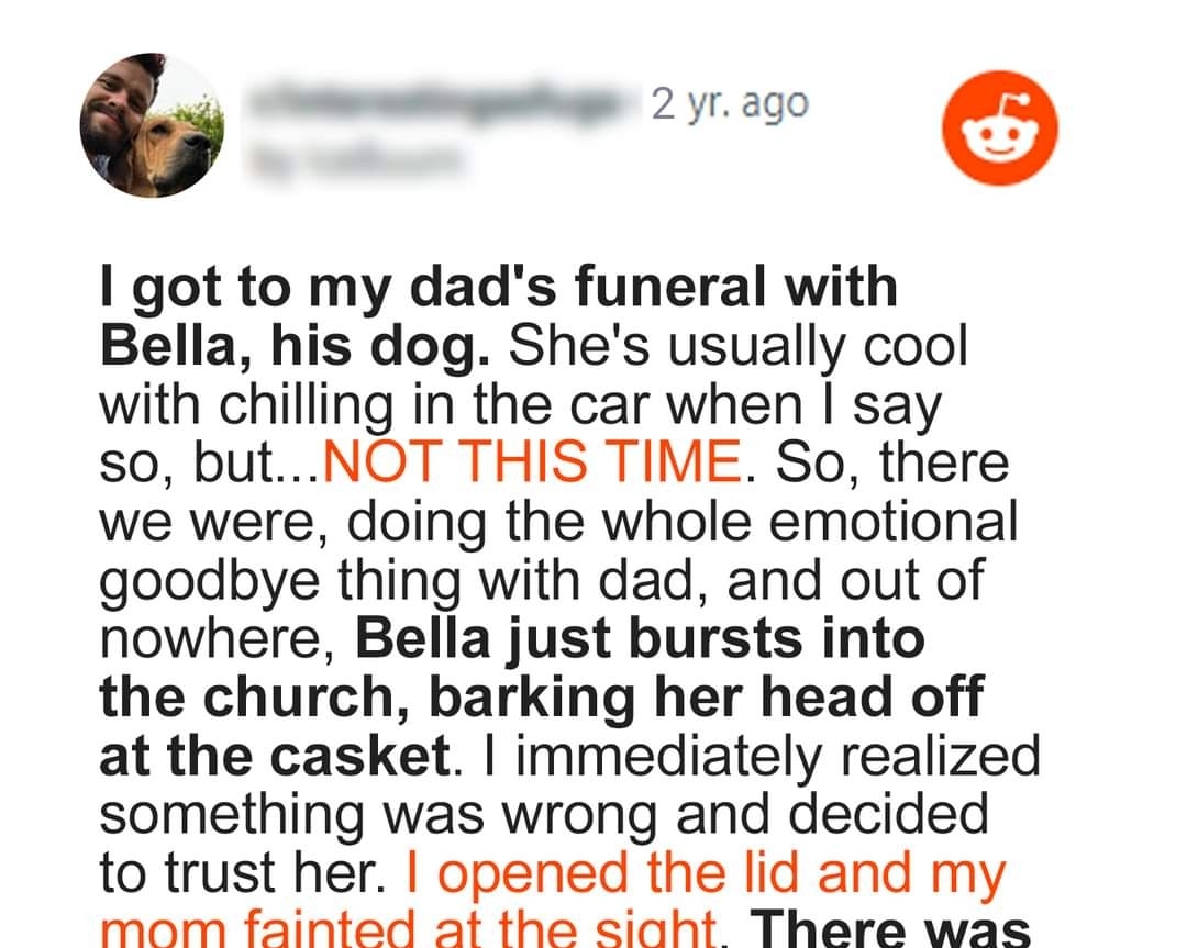 Dog Barks at Coffin during Funeral, Suspicious Son Opens It and Finds It Empty – Story of the Day