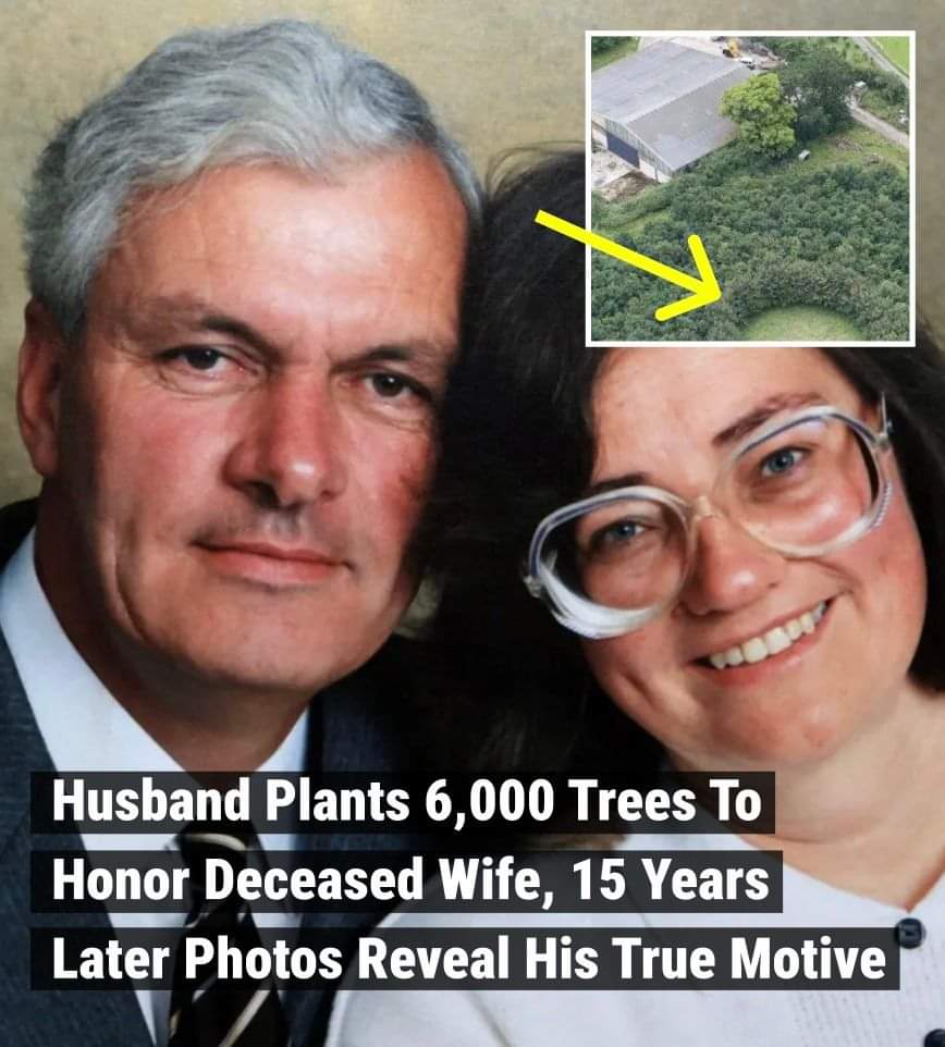 Husband Plants 6,000 Trees To Honor Deceased Wife, 15 Years Later Photos Reveal His True Motive